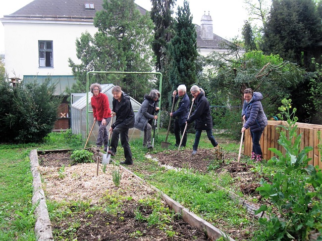 Gemeinschaftsgarten Pfarre Hütteldorf
